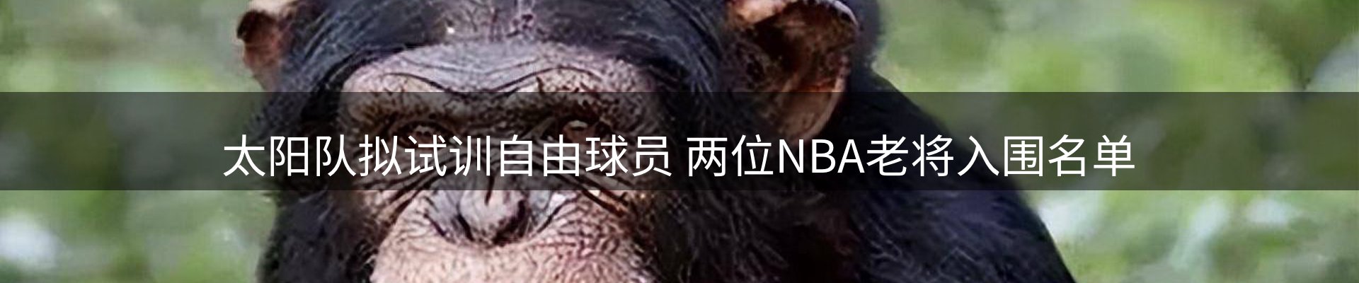 内页banner